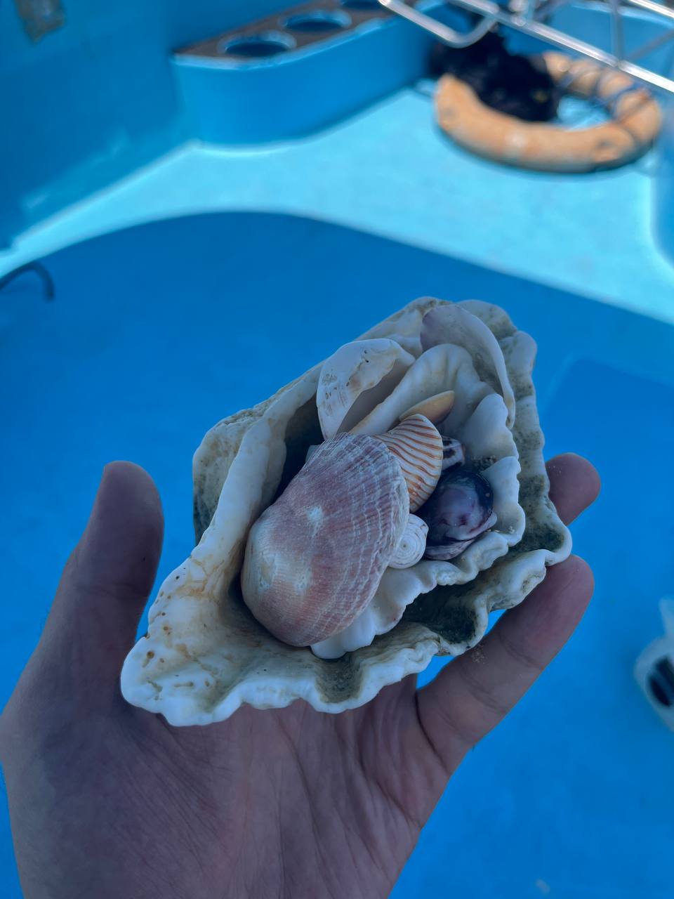 Customize Your Tour tour photo 4 - Customize Your Tour with Calypso Bali