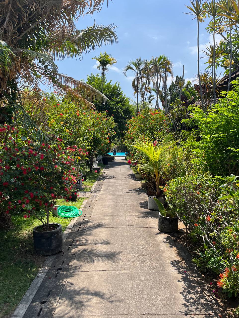 Customize Your Tour tour photo 5 - Customize Your Tour with Calypso Bali