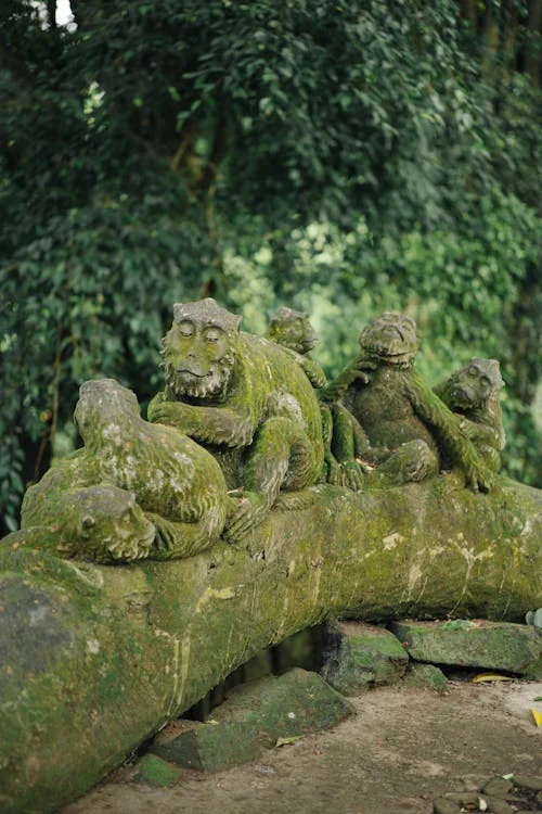 Ubud Cultural Experience - Private Bali tour visiting Sacred Monkey Forest Sanctuary with expert guide | Calypso Tours